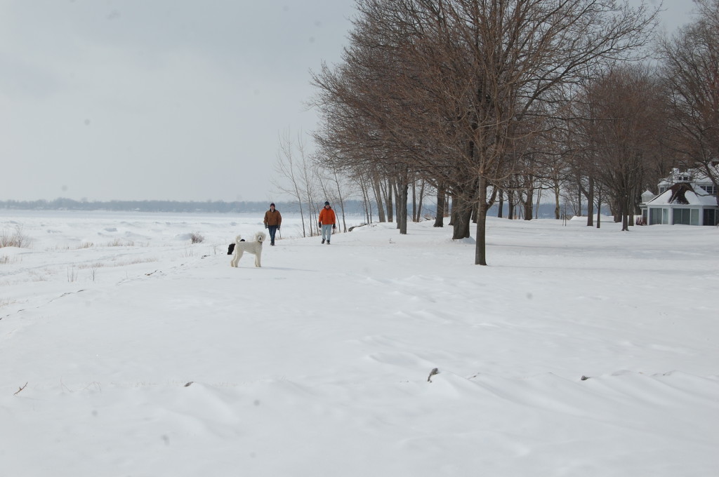 Father and son walks with the dogs along frozen Lake Erie. 
